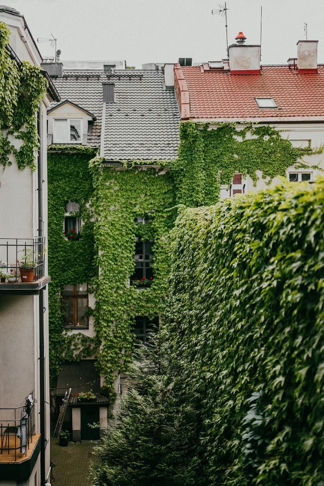 Antique Apartments Old Town كراكوفيا المظهر الخارجي الصورة